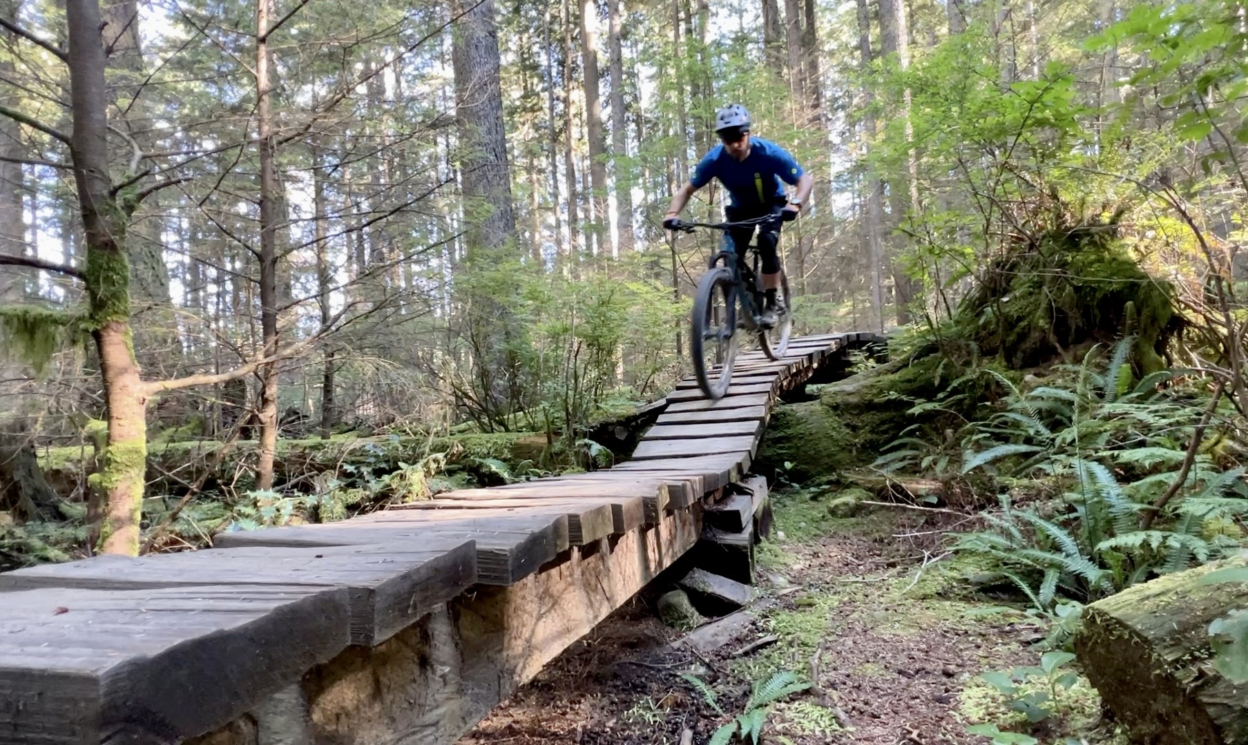Outdoor trail for movement sessions in North Vancouver